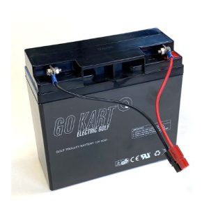 Replacement 18-Hole Lead Acid EV Battery